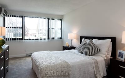 Cozy bedroom with natural light and modern decor
