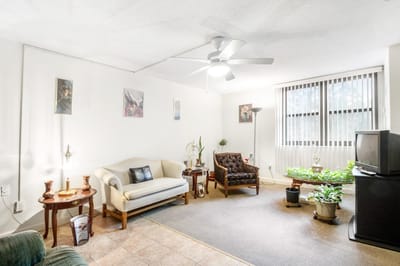 A cozy living room space with plants and furniture