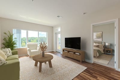 Bright living room space with modern furniture