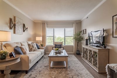 Bright communal living room with comfortable furniture