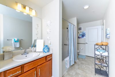 A well-lit bathroom area with modern amenities