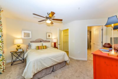 Cozy private resident room with a bed and decor