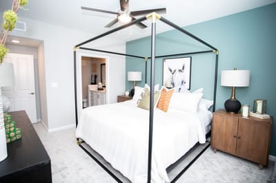 A stylish bedroom with modern decor and furnishings