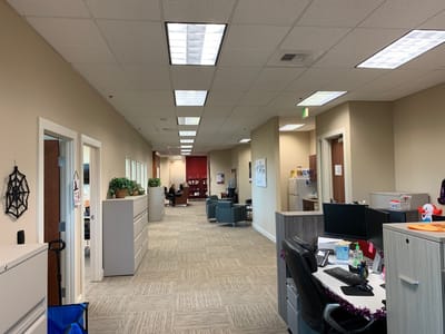 Bright interior office area with staff at work