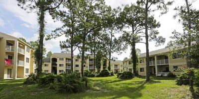 Outdoor space with residential buildings and trees