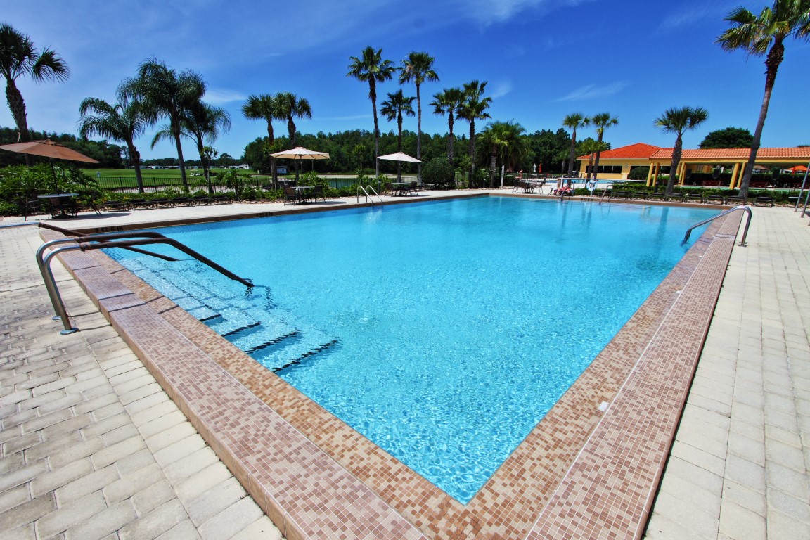 Outdoor swimming pool surrounded by palm trees