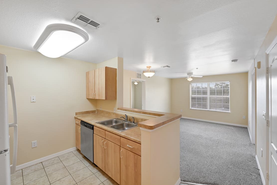 Interior view of a residential kitchen and living area