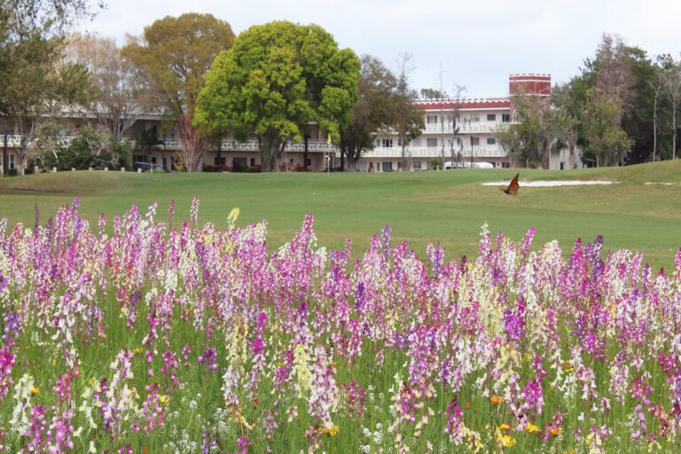 Vibrant flowers in front of a senior living facility