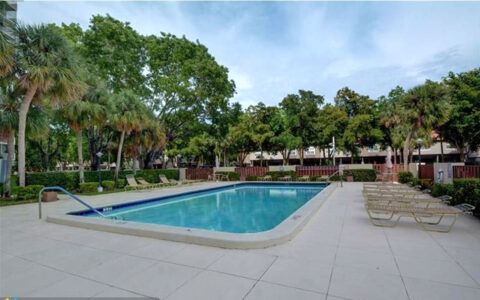 Outdoor swimming pool surrounded by greenery