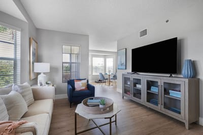 Bright and cozy living room area with modern decor