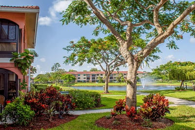 Serene view of outdoor space with landscaping and water feature