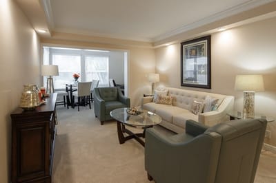 Bright living room area with comfortable seating