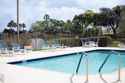 Outdoor pool area with lounge chairs and palm trees
