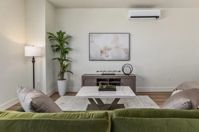 Modern interior lounge area with a coffee table and plant