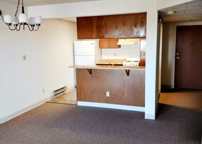 Interior view of a small kitchen and living area