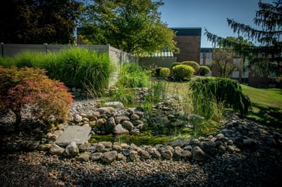 Beautiful landscaped garden area with pond and rocks
