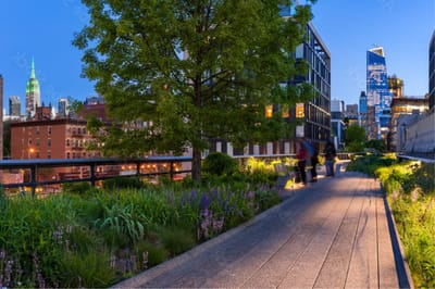 Rooftop garden with city skyline at dusk