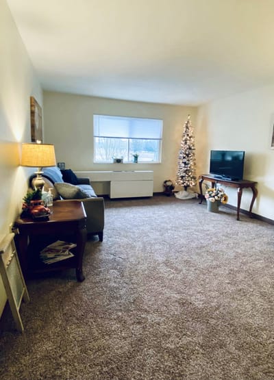 Cozy interior living room decorated for the holidays
