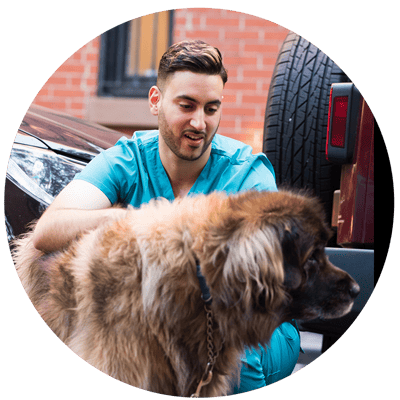 A staff member interacts with a dog outside the facility