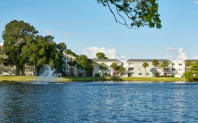 A scenic view of a lake with trees and buildings nearby