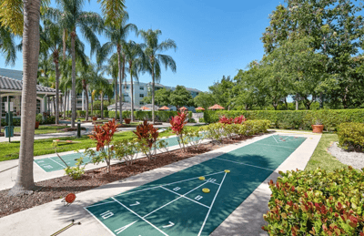 Outdoor shuffleboard court with palm trees and greenery