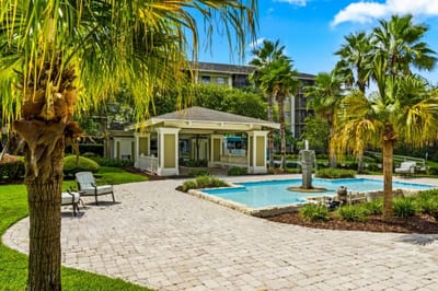 Outdoor pool area with cabana and palm trees