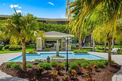 A landscaped outdoor space with a fountain and palm trees