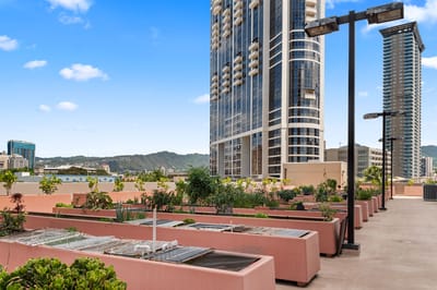 Rooftop garden area with plants and city backdrop