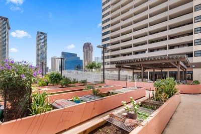 Raised garden beds on a facility balcony with city skyline