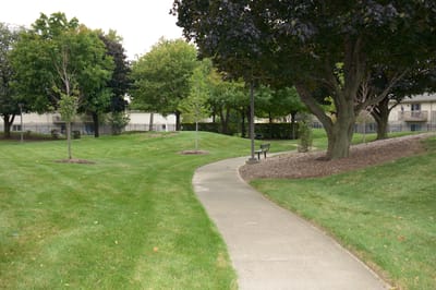 Well-maintained pathway in a landscaped garden