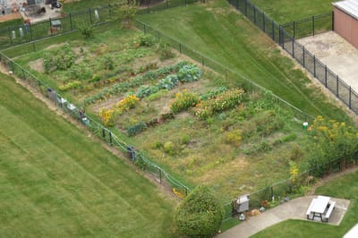 Aerial view of a community garden at the facility
