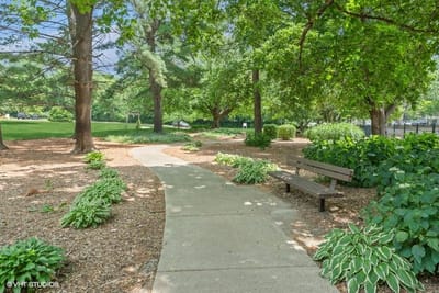 Meandering path through a landscaped garden