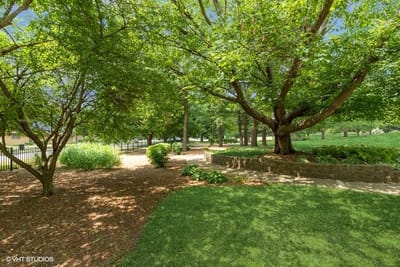 Lush outdoor space with trees and pathways