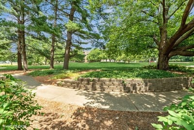 A landscaped outdoor space with trees and walking paths