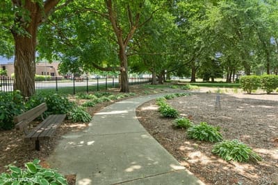 Pathway in a serene outdoor space with trees and plants