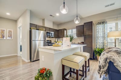 Modern kitchen showcasing amenities in a living space