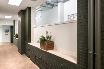 Interior hallway with plants and natural light