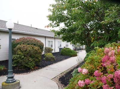 Pathway with flowering bushes and seating area