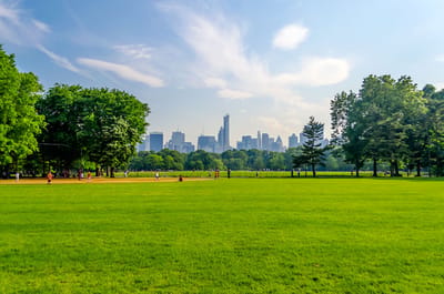 Sunny park view with a skyline in the background.