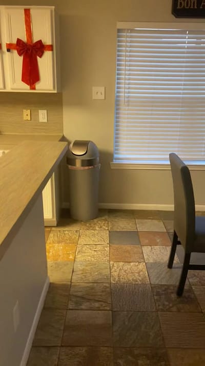 Kitchen corner with a trash can and festive decor.