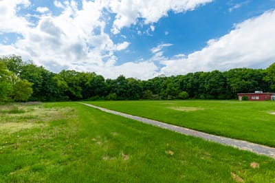 Open green space with trees in the background