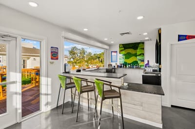A vibrant bar area with seating and outdoor view.