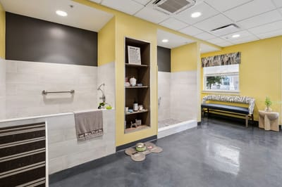 Modern shower room in a nursing facility