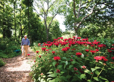 A resident walking through a flower garden path.