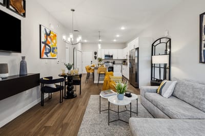 Comfortable living room with modern decor and furniture.