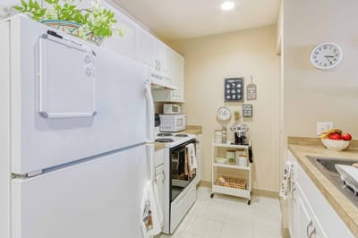 Bright kitchen space with appliances and decor.