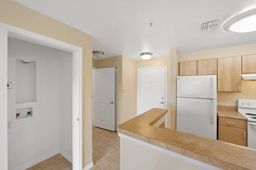 Interior view of a kitchen in an apartment