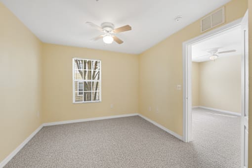 A well-lit empty bedroom with a ceiling fan.