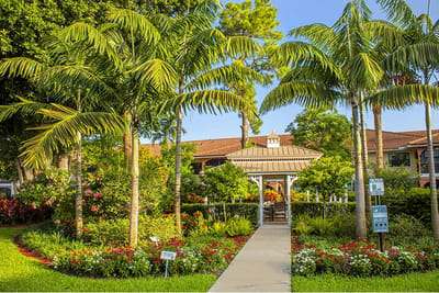 Lush garden entrance with palm trees and flowers
