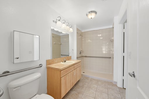 Accessible bathroom with modern fixtures